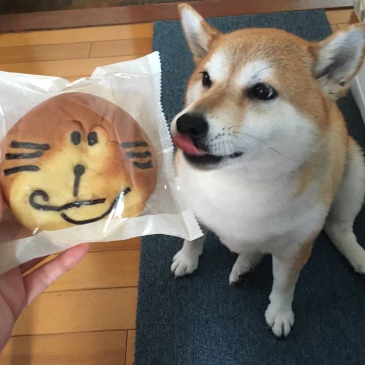 Ec1e69bd 4c1a 4a1a be02 2417c5607a26 1603494691850