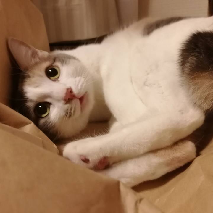 Ec1e6e97 8dcd 4b3c 9b88 a15de575d417 1518136053641