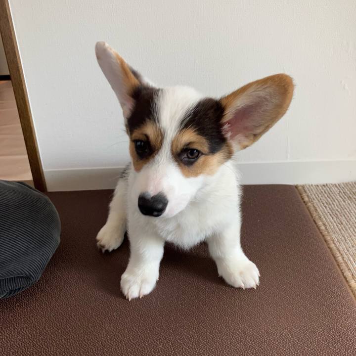 Ec1e8f20 7948 4d08 9f43 99fd952e7630 1770986066979