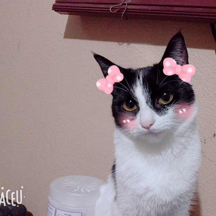 Ec1e9d05 85b5 4629 a444 6bec827afd0e 1531169343429