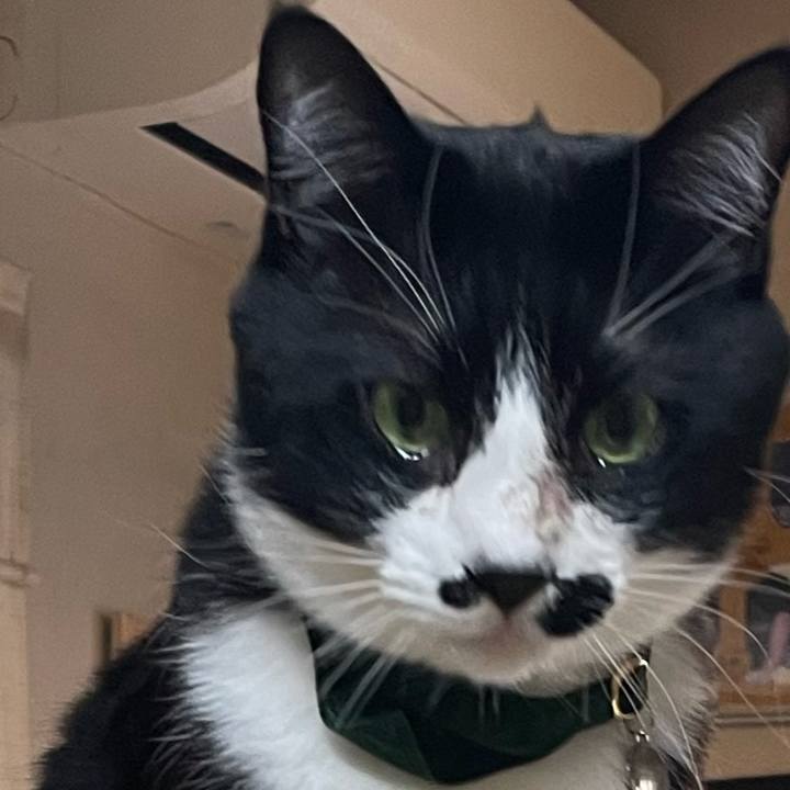 Ec1eb0fb 1b77 445b 8f2e 5903d5ad8aeb 1744087823322