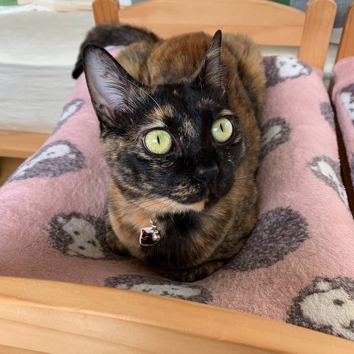 Ec1eba72 62ef 480a 9431 be8aa5945ff4 1559438872361