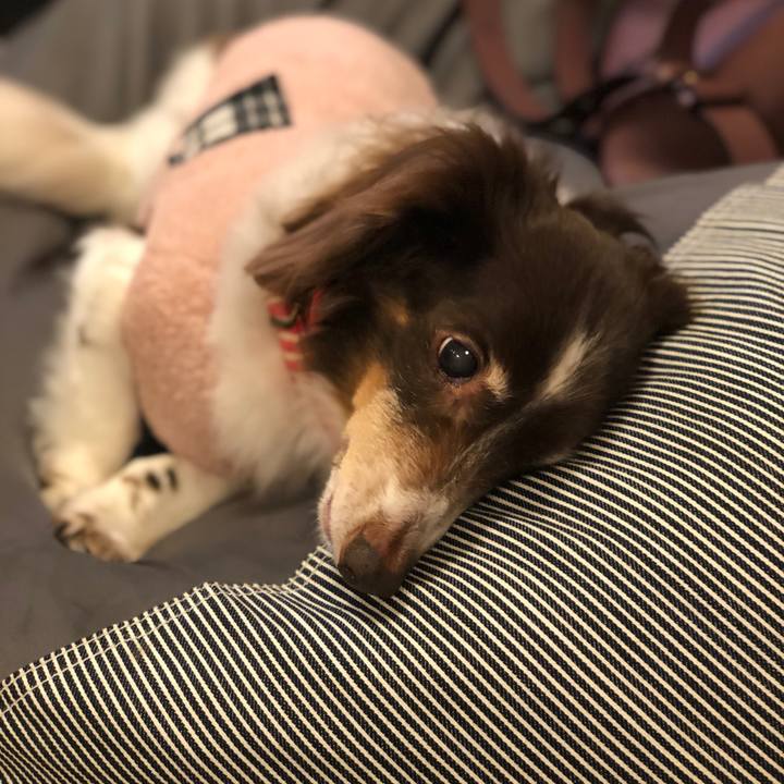 Ec1ec17a 2727 4c58 a489 360ae64a6e62 1576395812345