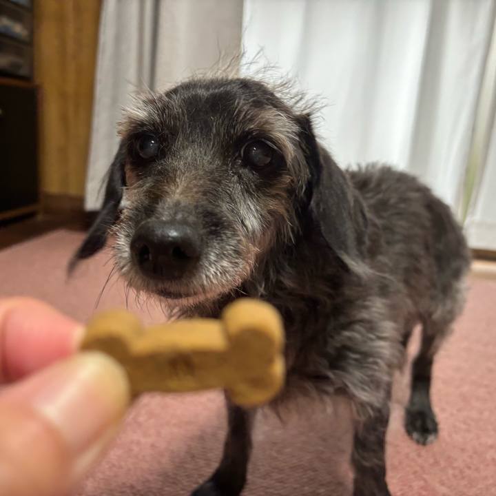 Ec1ecf9d a174 4f2c 9f47 a9d94ec728c8 1760830702342