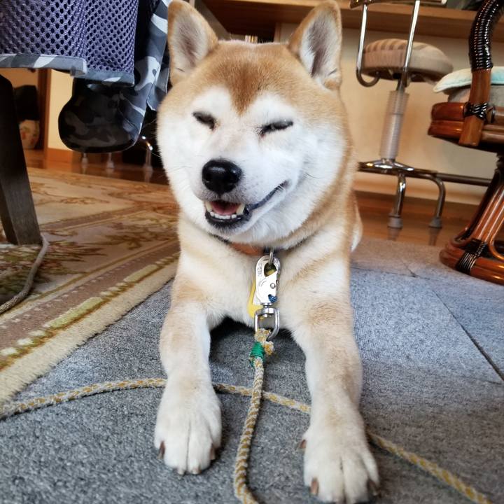 Ec1ed8bd 4575 4080 82cd 842f1e1fa62b 1567843214508