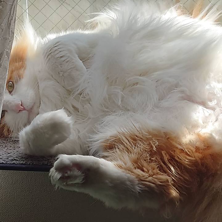 Ec1edfa6 3880 4a61 8161 8a064019cbf4 1681012176779