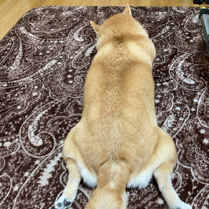 Ec1ee041 6adf 4445 9b5b 10ff21dd5712 1615881432277