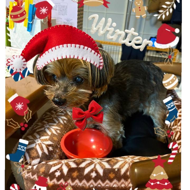 Ec1ef066 1645 4a03 aaa8 e980edeb629c 1734768276363