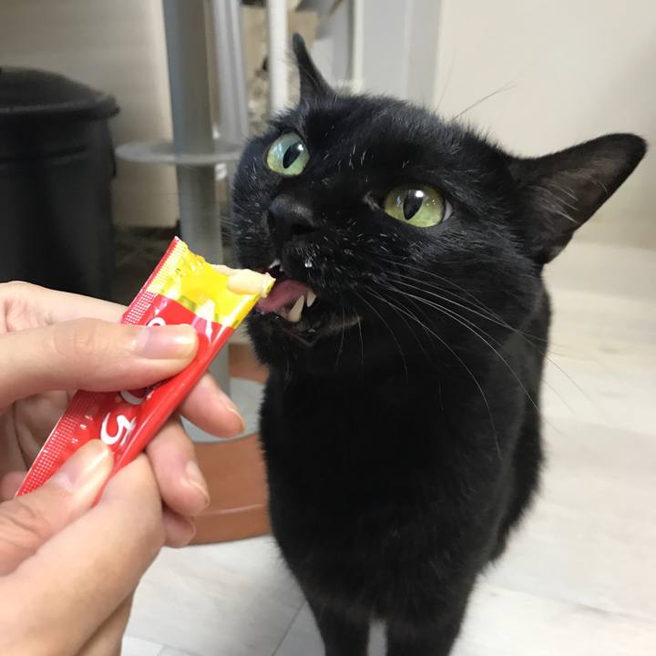 Ec1f0c4c 9cff 480e b650 5b43729c8aec 1510386302552