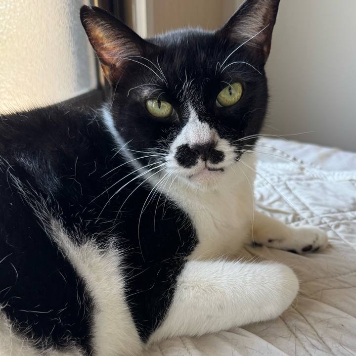 Ec1f2657 251a 4b7c bbdf a3b1dfbc38c6 1756772017795