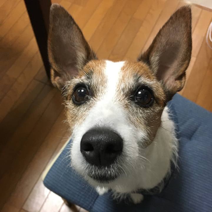 Ec1f40b0 c2cd 427e 9a69 7dd8dda847a5 1554461059948