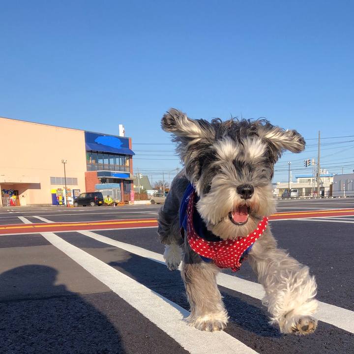 Ec1f5544 785d 4591 99a8 206d09eb2231 1543754267767