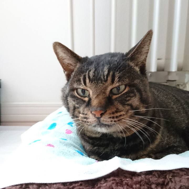 Ec1f7f59 6c0b 48c7 ba1c 1bbe1302e90f 1548761076675