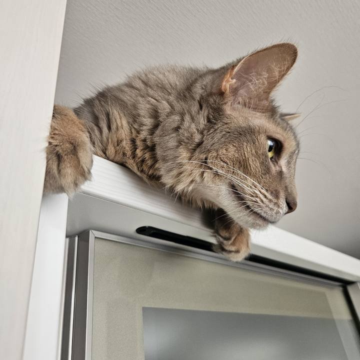 Ec1f9878 0717 4034 b833 683d52c72394 1752648368936