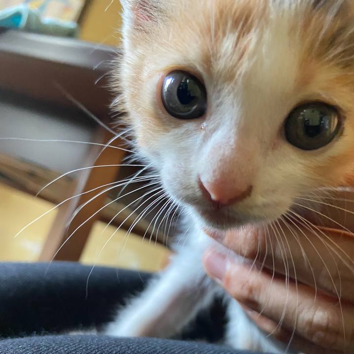 Ec1fa750 fb1c 4c28 9e22 068f4d053832 1628501902840