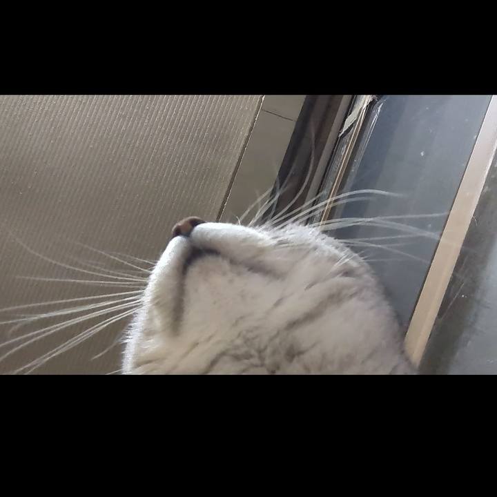 Ec1fb99e 5e0c 402c a43e 6f1dce6bc4ca 1708248569592