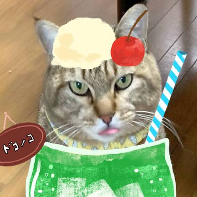 Ec1fca13 cb1a 4075 be88 00e8435230bb 1755296157628