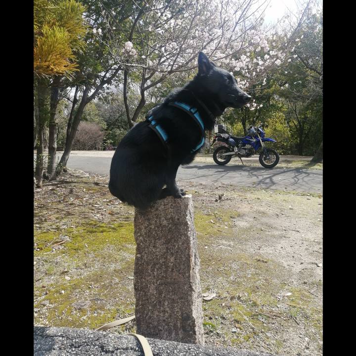 Ec1fd9b8 456b 4d66 af76 c4739ba9da2a 1648342429703