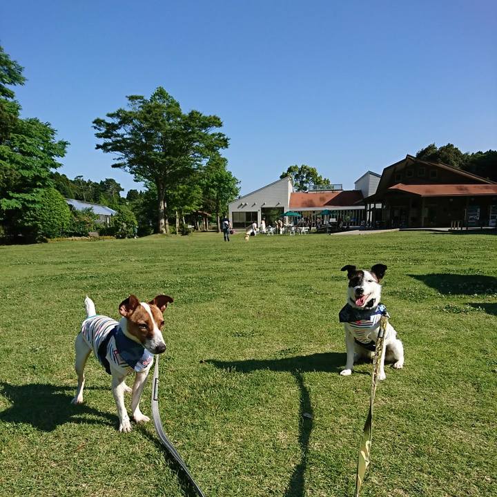 Ec1fe480 c34c 47a0 973a f7744936e405 1527932313821