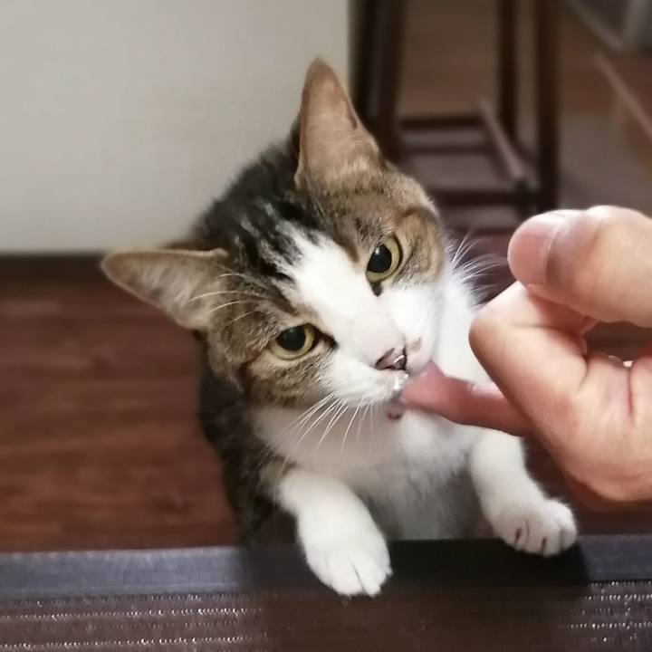 Ec20160a 055c 4538 b884 8a8321e4a3fa 1616888204875