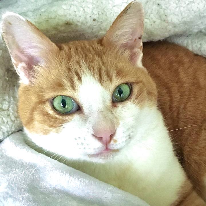 Ec202c3e 4ec9 4d31 8166 54ac6da95262 1619832992880