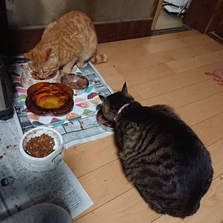 Ec205975 c63c 48e8 90db 6c88f504629a 1651613261868