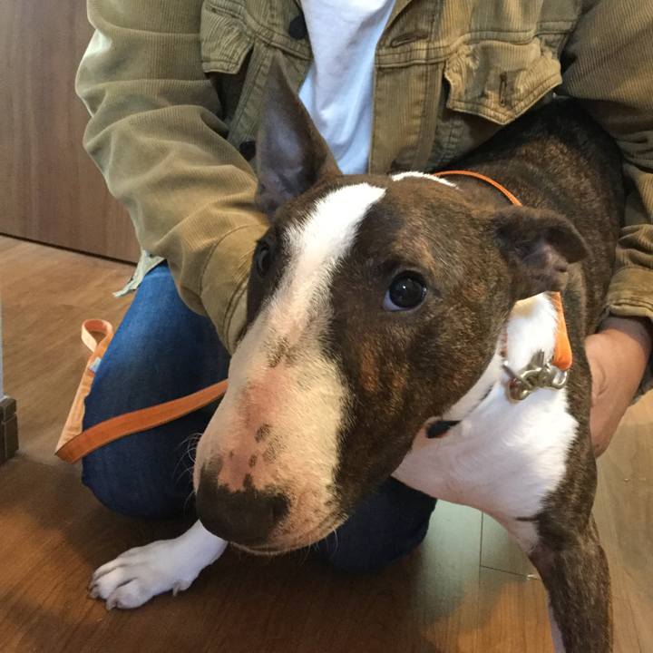 Ec207daf 5aa7 49a5 b4a5 49ac26000b8c 1604181389953