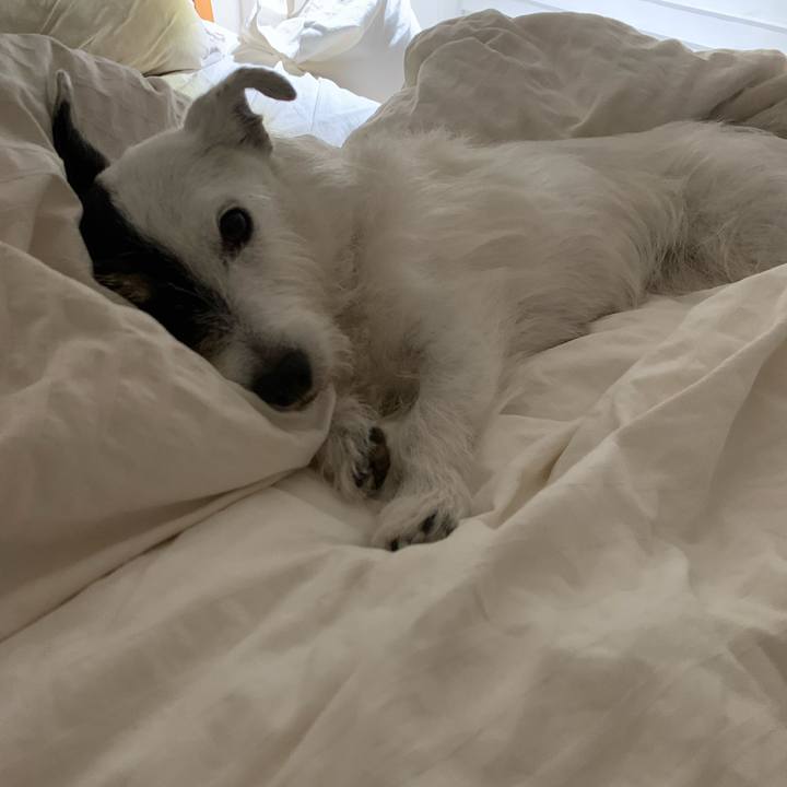 Ec209e83 4cd9 4f30 bf3c c456b5884cbf 1726063807859