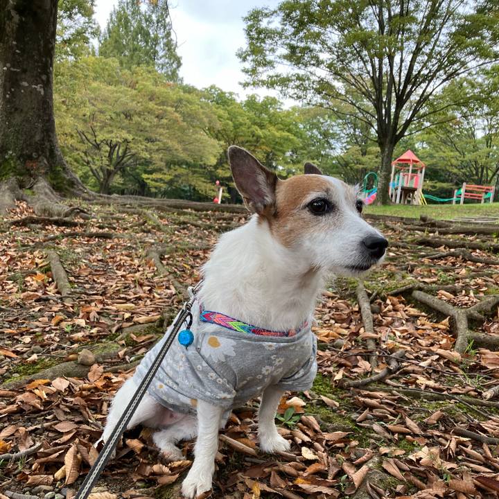 Ec20d786 ed6d 4f3b b26d e5fd58629623 1666485161298