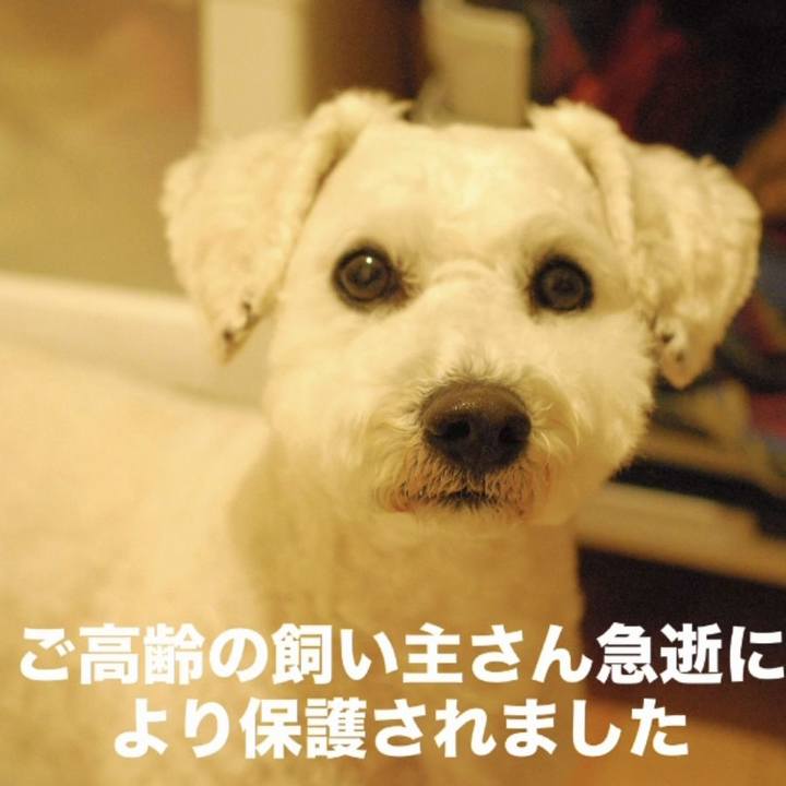 Ec211c5a 1bcc 4252 944e f577e15108b0 1766404706969