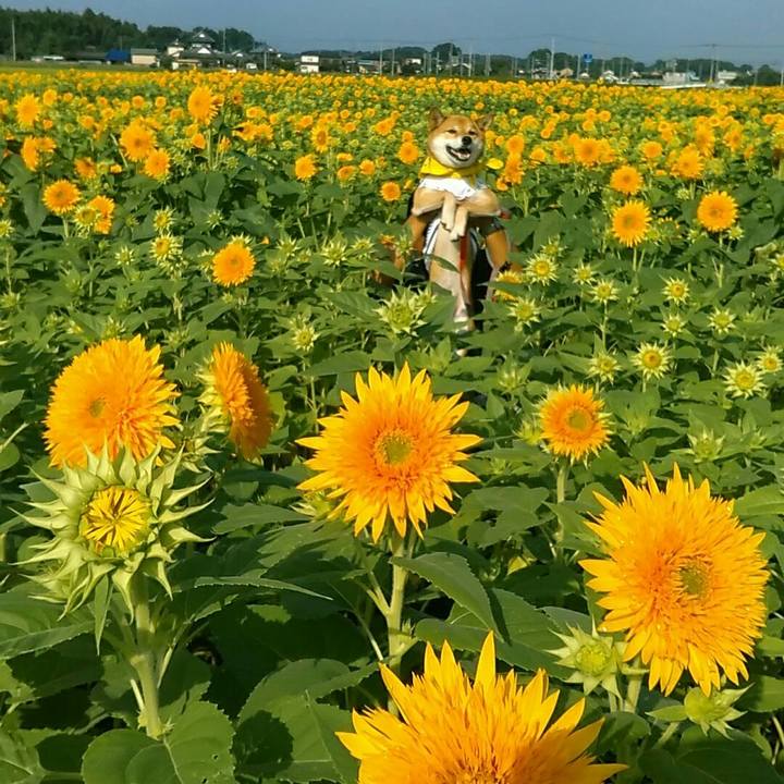 Ec214b0e 6d2c 434d a4aa e3286cd2d76b 1566695716070