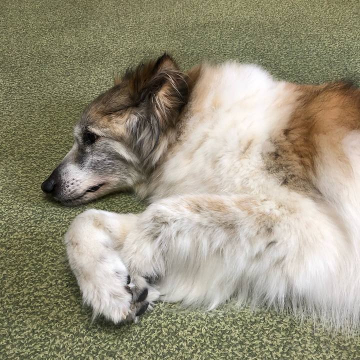 Ec216a18 9c8c 4dda 8856 da9accf34c65 1557893870973