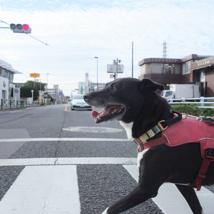 Ec2173ac 381e 401a 9288 6d591c7555ef 1696637987464