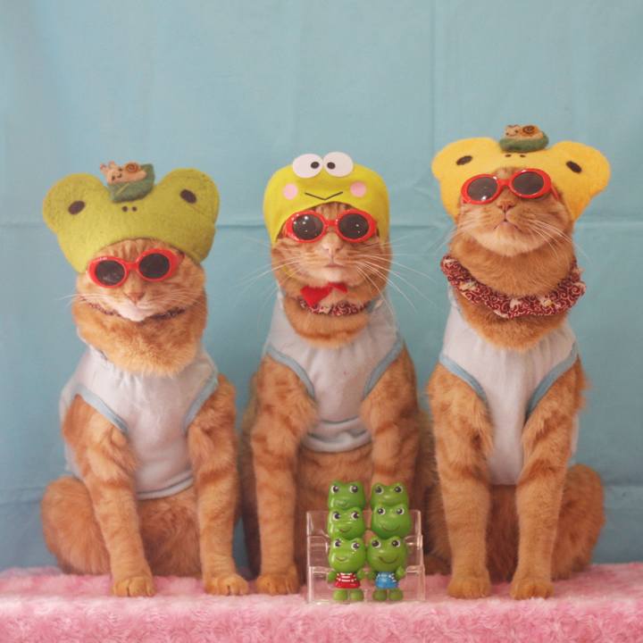 Ec217a4d c903 4b96 bee9 ff6be73ea5db 1717399283878