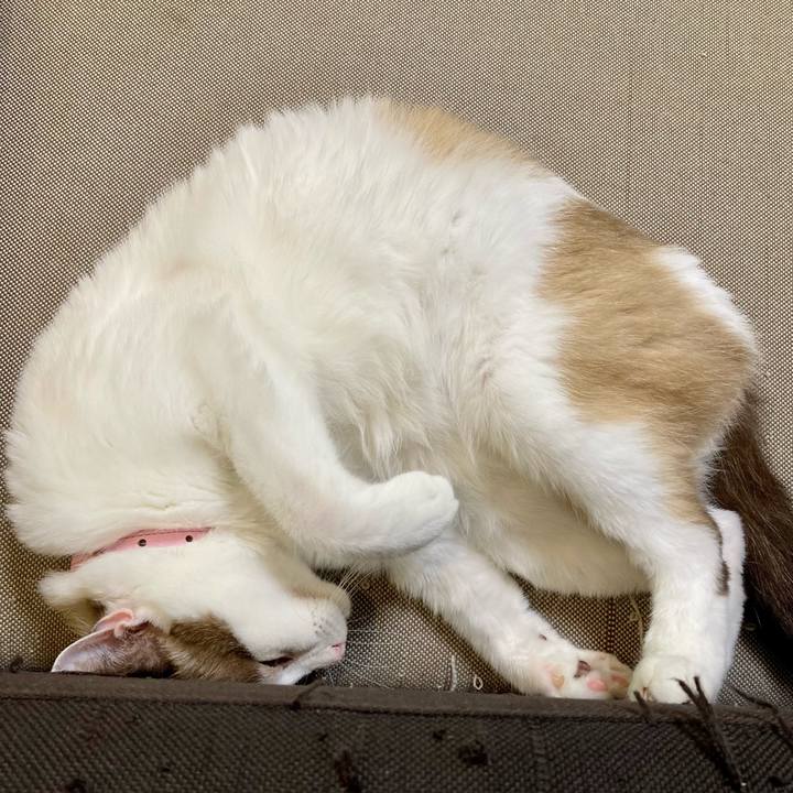 Ec21957a 8b9c 4206 b93d 86038f513d24 1634301296473