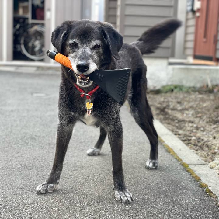 Ec21fde3 e973 4d07 b107 b7007540a6ab 1774076581828