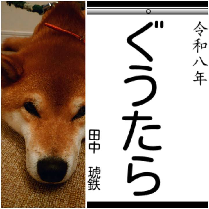 Ec225776 4596 49ab 89f9 54121e8ebd25 1768217700898