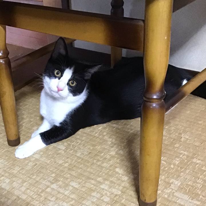 Ec22848e f1ee 44a2 b349 217e6a8a3cf6 1633858035219