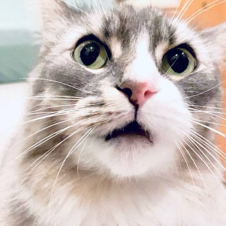 Ec2287f8 f9a8 4759 89a1 17e5195a5245 1713542654012