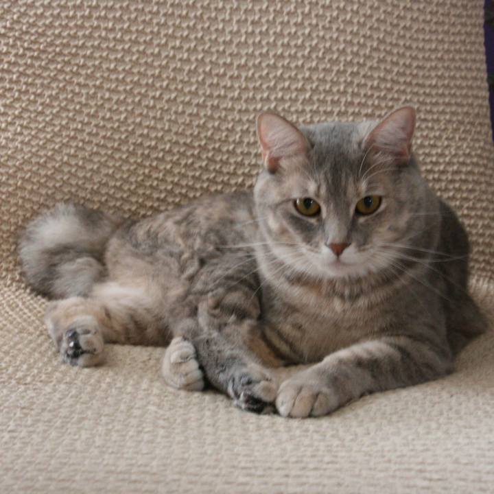 Ec228ef9 93f5 49c9 8b5d f5fe58df3d94 1508157572144