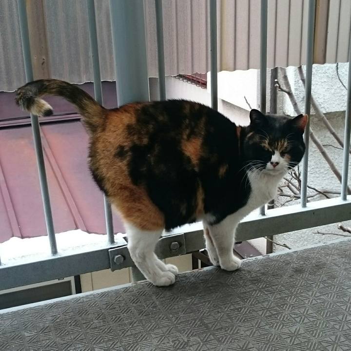 Ec2296c2 b42c 4e9e bf76 aee772572554 1517116782593