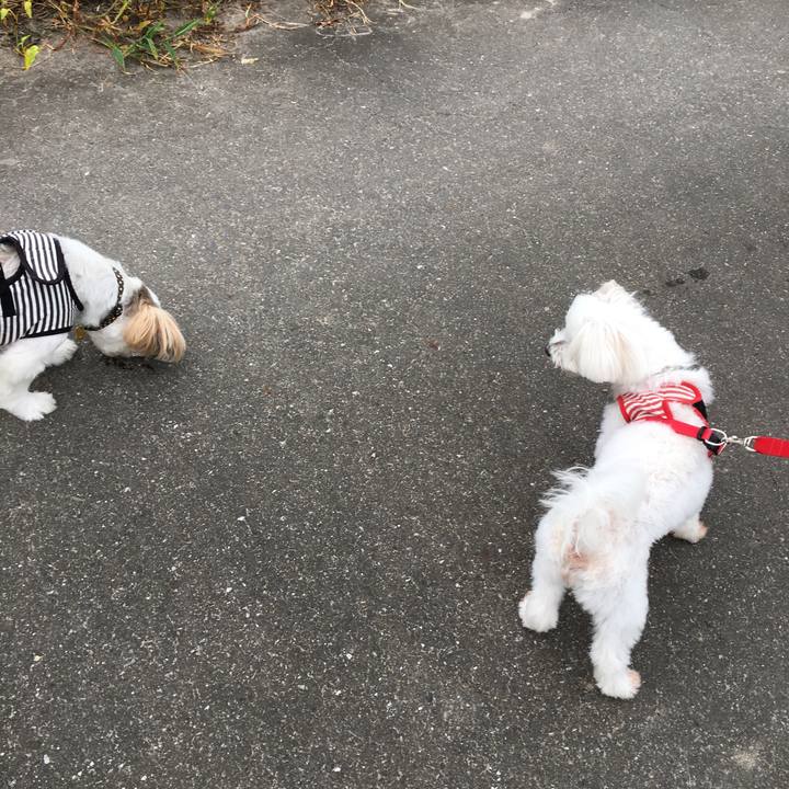 Ec22ab40 0f6e 45e0 b406 a5e3dca1fa00 1596926889042