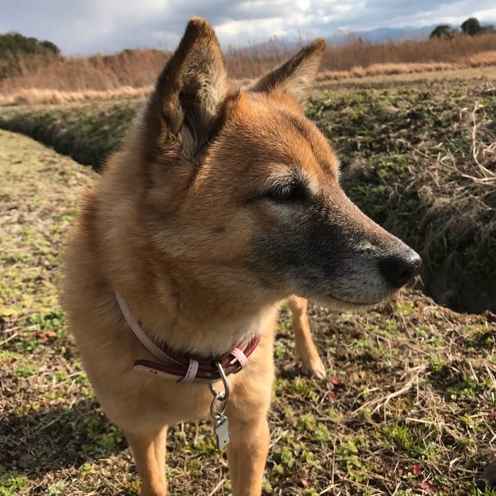 Ec22d75a 81a9 417f 8b90 8ac850f690d8 1517800723871