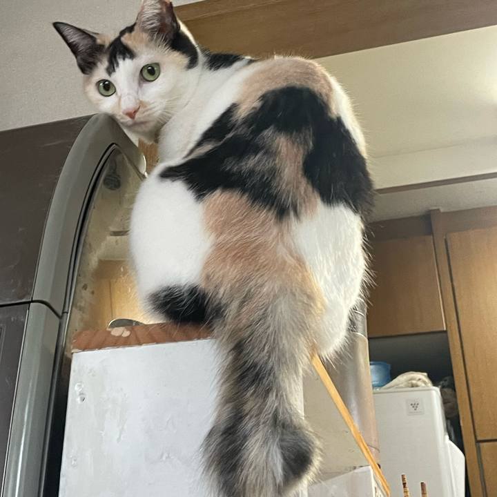 Ec22e157 15a4 49c0 a96b 70f549502e59 1756939817761