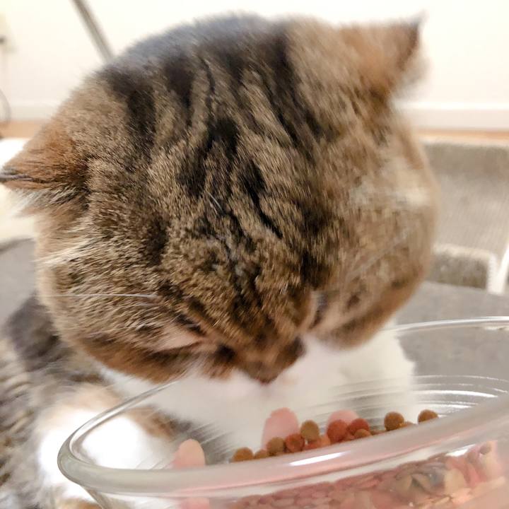 Ec2315e2 15bb 4c3a aedc 68476921a38f 1599944170535