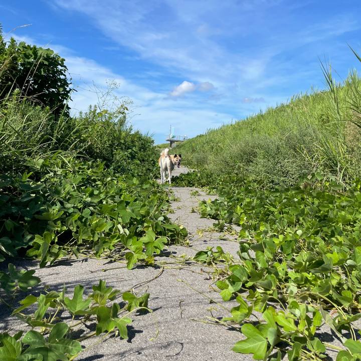 Ec231f6e f30a 474d ba07 e54189cb7cb5 1662293000528