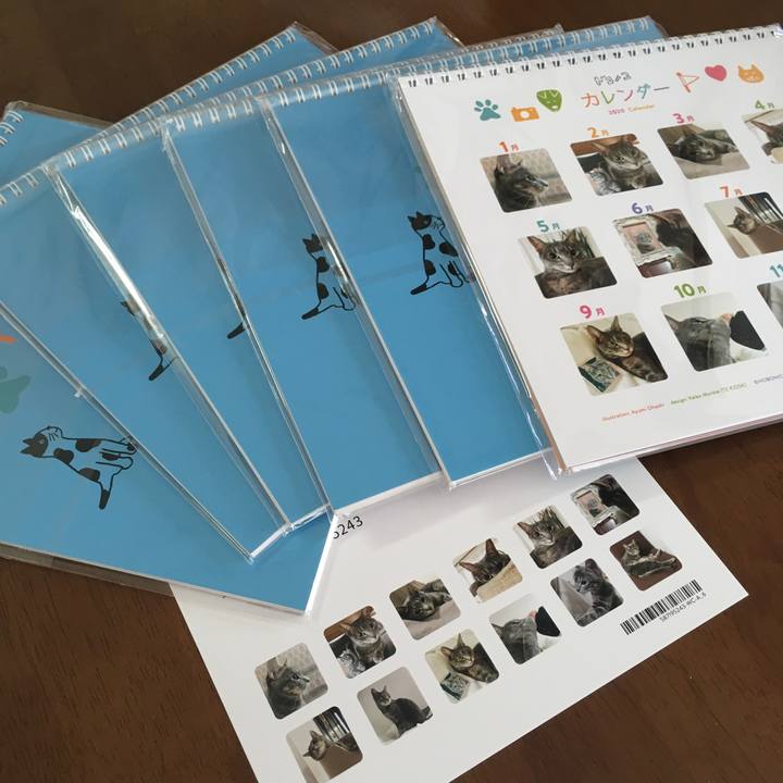 Ec2333e9 0eba 4544 9e06 f43c45a6491c 1575087898074