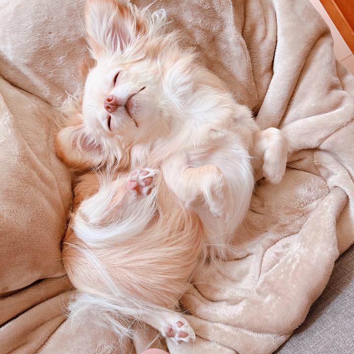 Ec23f068 4c88 427a 95db 0658b76246e3 1654385896594