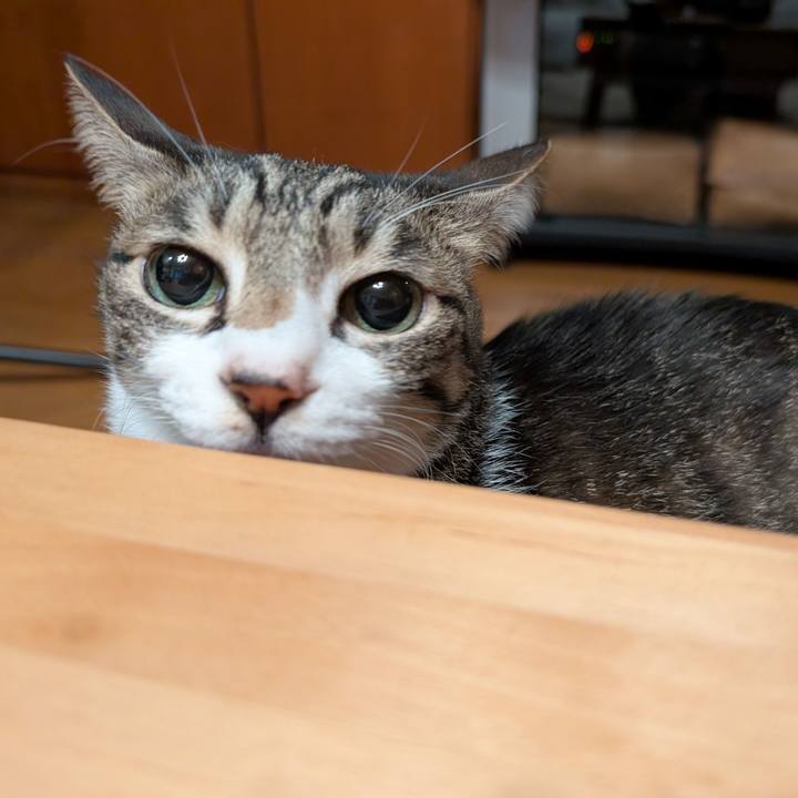 Ec240302 e362 4218 8717 b8dcf5a3a066 1762642514034