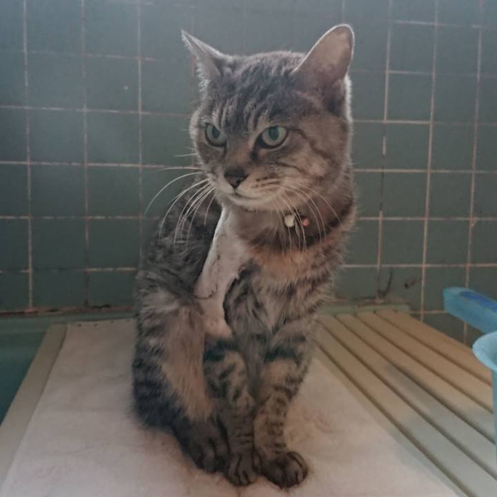 Ec24195f f4c3 494b bf09 6be124a2e2d0 1587633181804